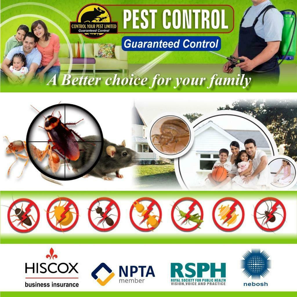 Pest Control Dalston E8