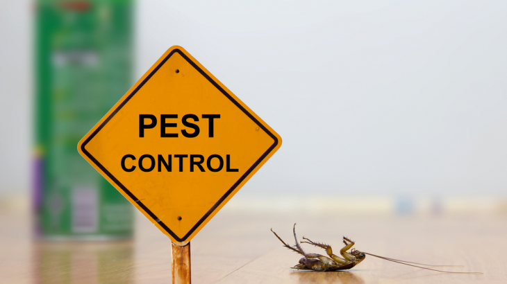guide-to-pest-control-service