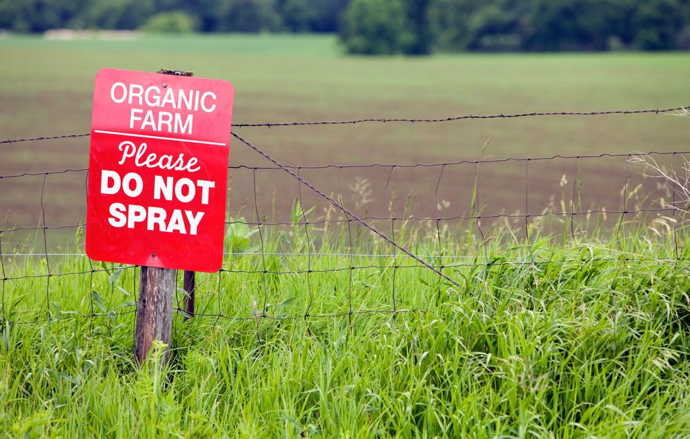 role-of-pesticides-increasing